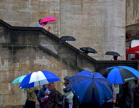 UMBRELLAS