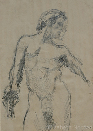 8390/HOMME NU/37x26/Line Drawing/1978/G6/EN-9/9/21